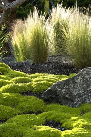 200496e1d2c9ee84f8d8f6587126a95f