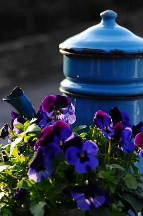 24829ee6302da21a3533dc5903f01a2b