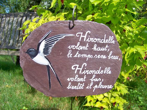 27504414b12d2d3f00e52c6a6d086cc2