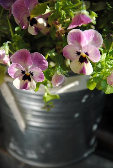 2fe48cd26fb9bbf5cf739b87fe8afaa7