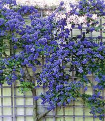 350a39fc04bffe9d82541072a7510736