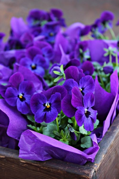 392e8f4f3e8d1d2e8f702b8f4344f565