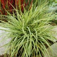 394eaf5a797806e7b51a93dd5cdeae55