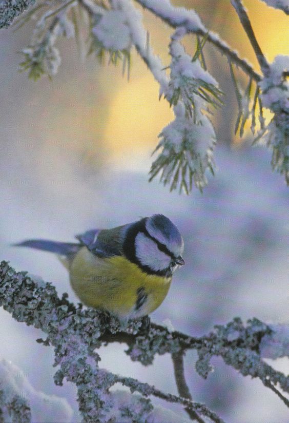 396c50d3b376c97b01251cd8d1ce161f