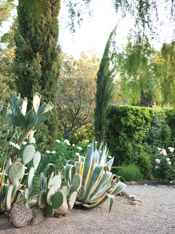 43a0dc77f3f6365b1817cba07326d269