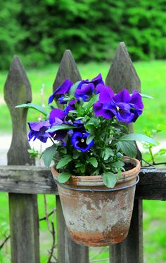 479d529bf2b171f6d97c4b64b88e72c5