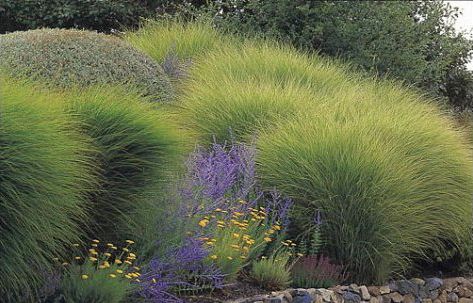 4e7a324e4eb52c6399abc8813460e035