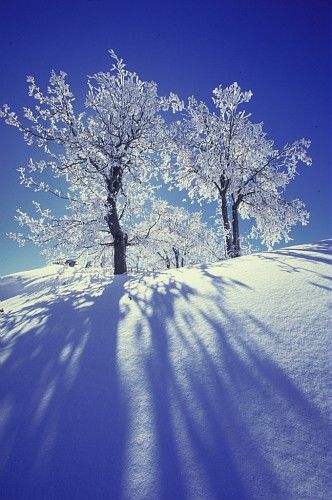 4fea84238511b72f5e8f05de95f511ea