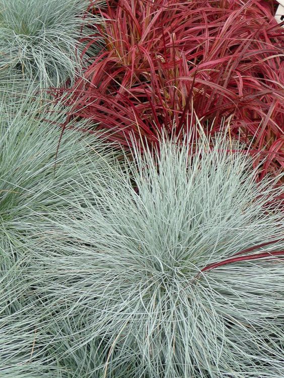 54abcc74797a6bef59287794bb3f4168