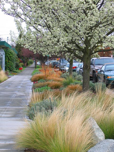 59c08ceafa4e3074c93f14b7a8698013