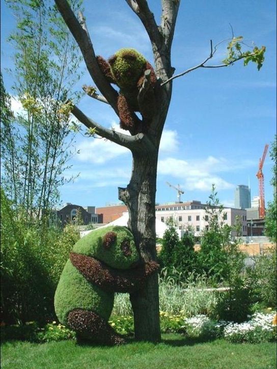 5f56a2687511c20d5a6352e48e74014d