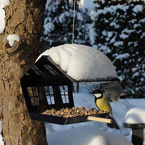 5f63f366e1a59f512ccb3e9d9283817a