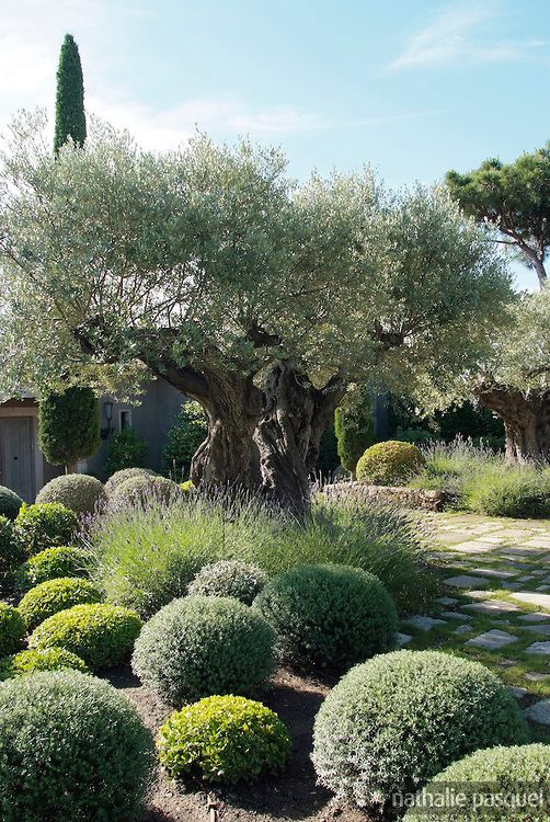 62f04940ae7944ce2b59dd01440d423e