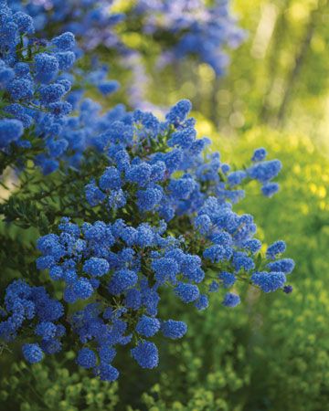 72fa4d794490dfcfa6a28b0cdf24c8f0