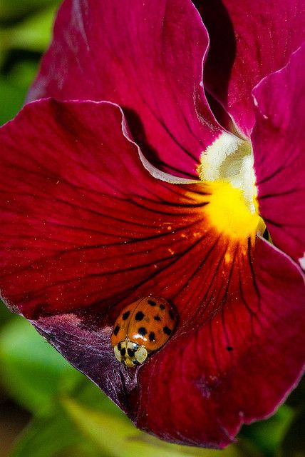 78e2d7290b0bacff12b5f6b8b9a27e89