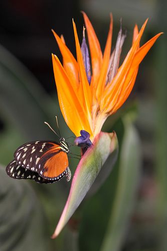 79e1206de3f364f4e7f170d71fbea25e