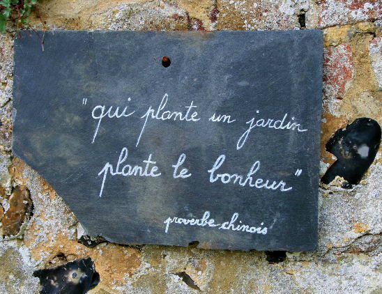 7ac2d583b2e934adeca68df5742411e8