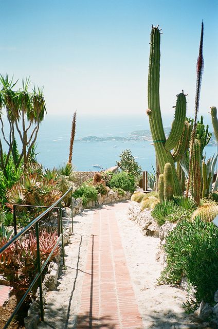 7f5df4c782361ec4f178e41c96850369