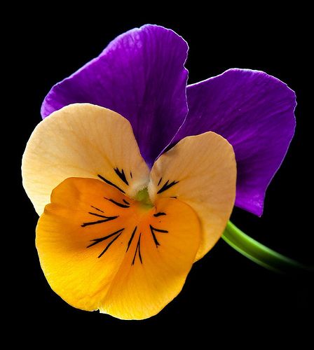 82385dfdb78b243d93bb318d6871d804