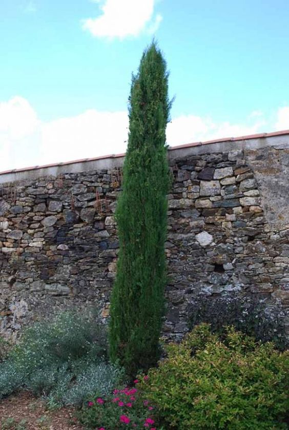 8a814fee31fc544a1c0a55e082ee2432