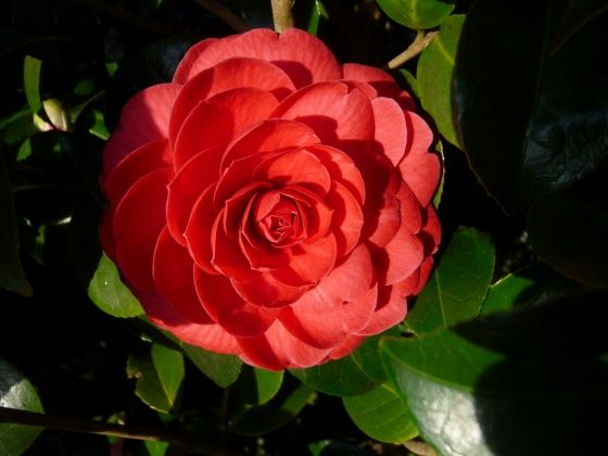 8be80538d067189179dd7436f4ad9d9d