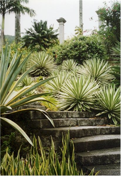 91fa3ee5d6868a951fdcd2d981b61ea8