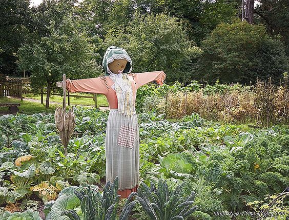 9869fb119fc3fa5c8fb160c6b02d62b3