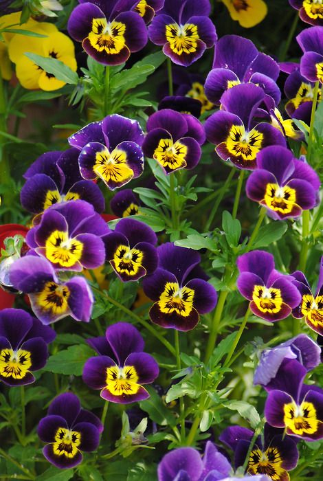 9b457c8312919757c3ed7f6fec654c3a