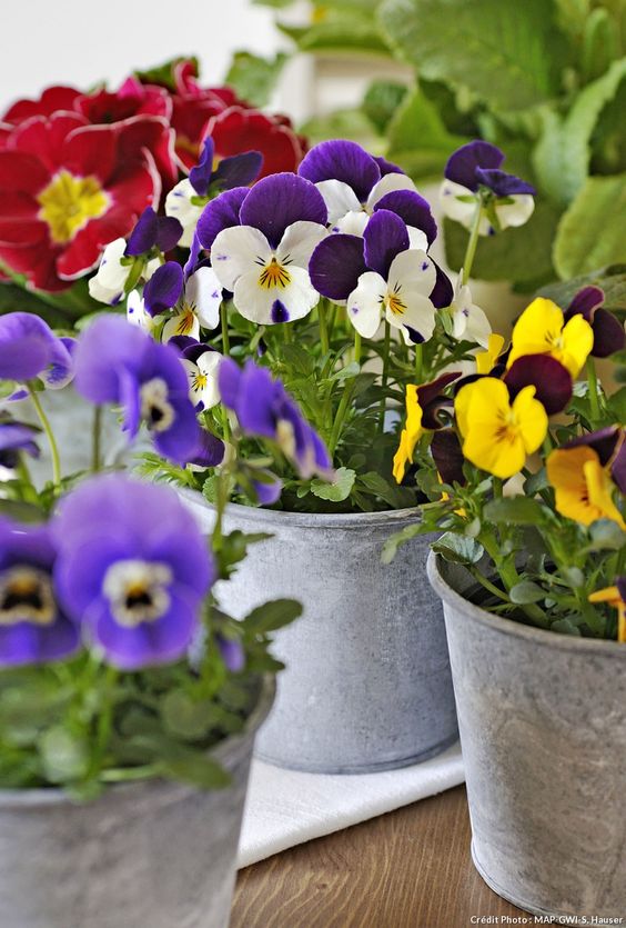 9bb4e059f7afc760ad01318937ef1952