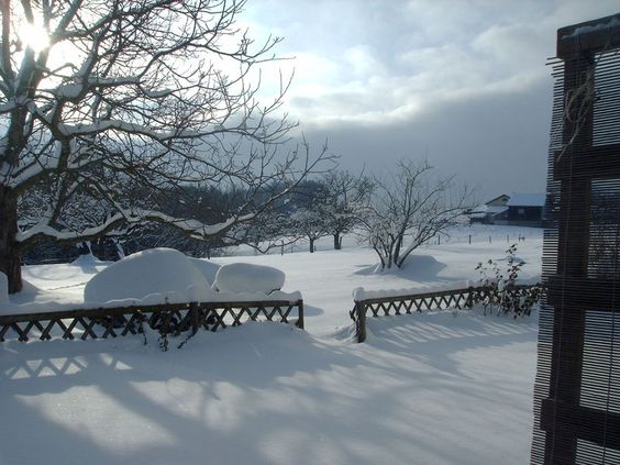 9f74969111e3720b90ef438d5720aa94