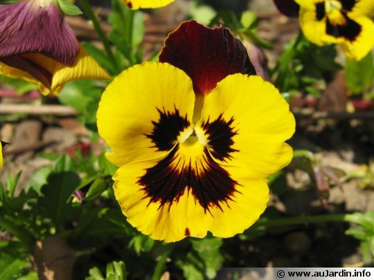 a0e7d06c9a4ff6af63105732a37836c4