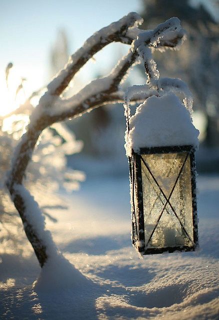 a6fb1c44853607f48154c6c1550f3505