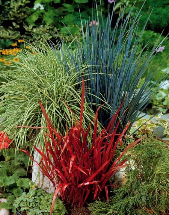 aa240e81c5ea1ddf1a562c5401383ee3