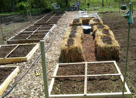 aa2d19a32c7396e8c3ca75455ba6a898