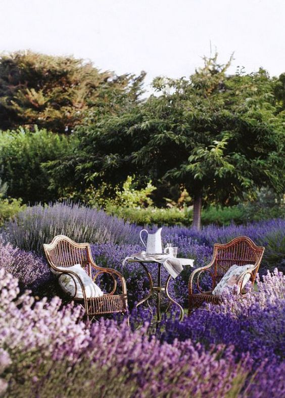 ad8a04b69fb30596452eac77cb1dda9e