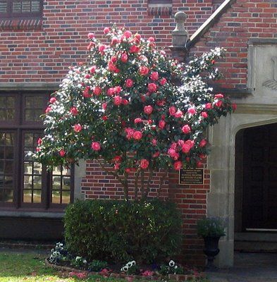 b02b891c0a82fb33d5428d33f6de627e