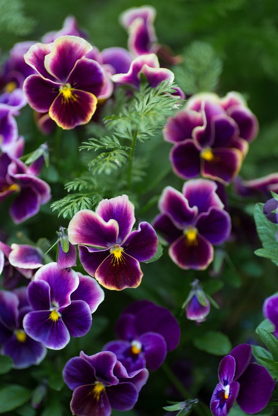 b1bbf53745a5d19ef863ca504517ad11