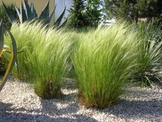 b9a9083136b9af11ca5085b7495a42a0