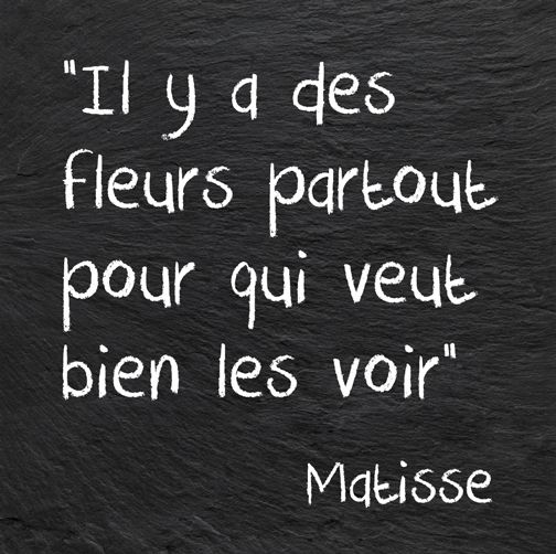 bb01771a9ebace608a4bb0de1e3e75fd