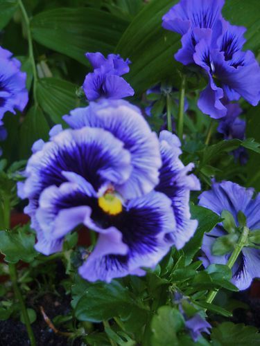 c0f4dff20d894af363905dbda920ec4f