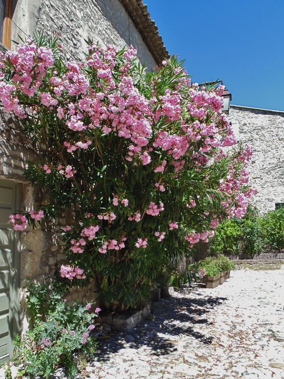 c64902ff682a963a702c62f75d8248eb