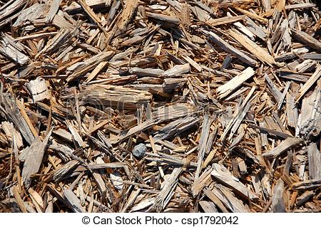 can-stock-photo_csp1792042