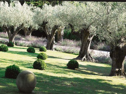 d0d7f9c7e227f55f7f5875a7f81cbc1a