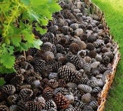 d5d728b15c7af33d3e4f723777e9f33c