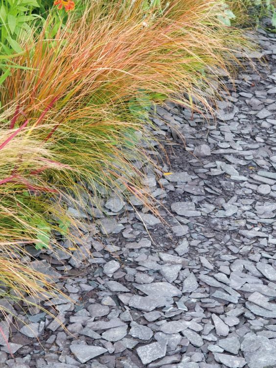 d86dd3a7ff6a4809012cbab6c8b66d3a