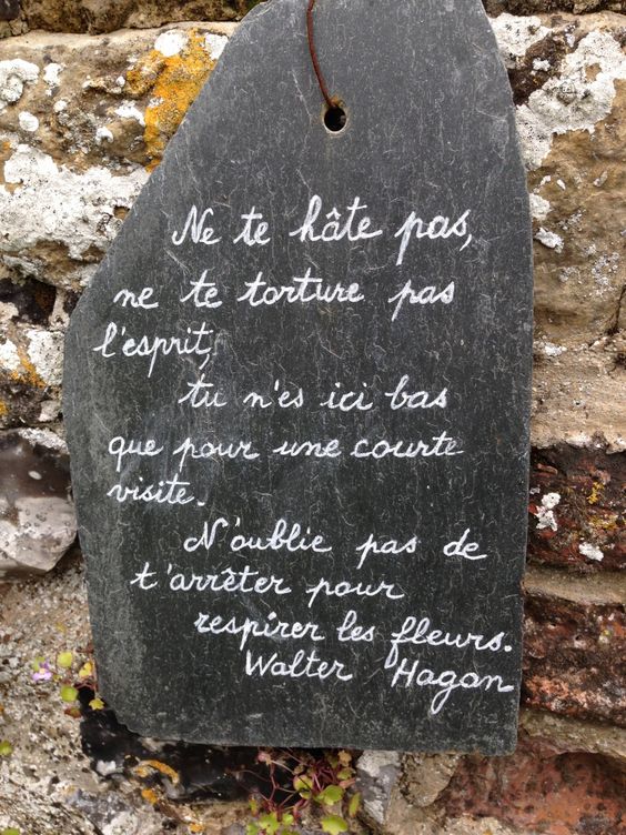 e4c881e977efad8485874cc3ba019ef4