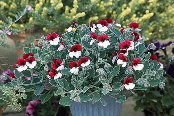 eab3dd579aca2a160503a9763b40865d