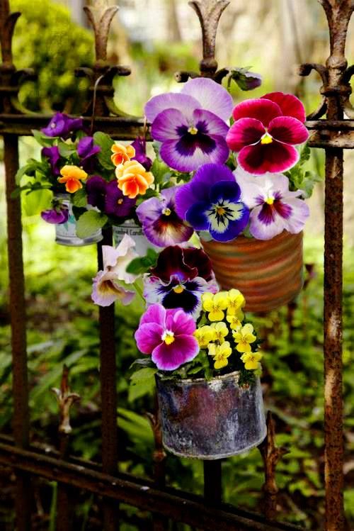 f85831c1dc86011c4b442eb26e883b98