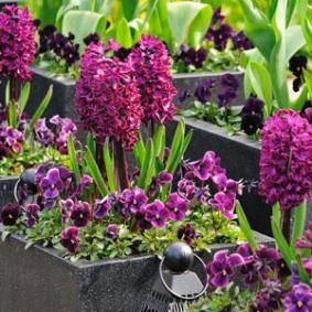 fca65dc0ee9a284ec060c74d3adfc208