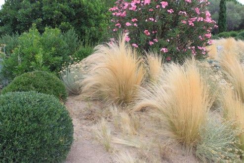 fe0e689e5c53080a91fd92a207dbeead